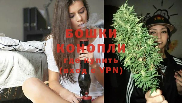 скорость Вяземский