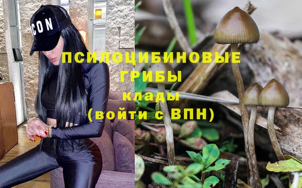 спиды Вязники