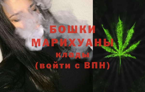 скорость Вяземский
